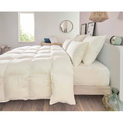 Oreiller Oreiller TOISON D'OR Pollux Confort ferme 65x65cm Blanc