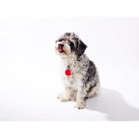 pack-accessoires-gps