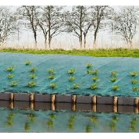 paillage-voile-protection-culture