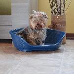 Corbeille - Panier - Coussin - Hamac Panier-Corbeille SIESTA DELUXE Taille 2 - 493617.5 cm - Gris fonce -FERPLAST