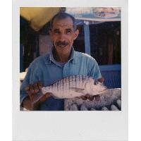 papier-photo-pour-photo-instantane papier-photo-pour-photo-instantane