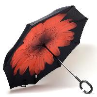 parapluie