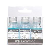 parfum-a-bruler-a-diffuser parfum-a-bruler-a-diffuser