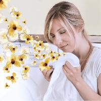 parfum-de-linge-parfum-oreiller-brume-oreiller parfum-de-linge-parfum-oreiller-brume-oreiller