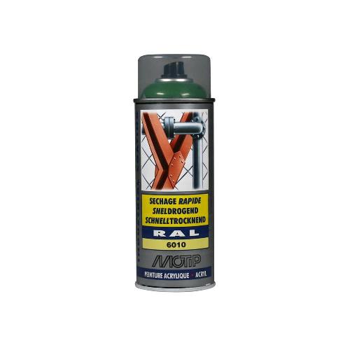 Peinture Auto Peinture Aerosol Ral6010 Motip Ral 400 Ml Vert herbe