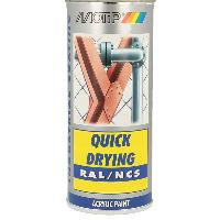 Peinture Auto Peinture violet brillant RAL4007 400ml Violet pourpre