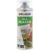 Peinture Auto Vernis Loisir All Season Brillant 400ml Dupli Color