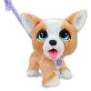 Peluche Jouet interactif - FURREAL FRIENDS - Mon Copain qui Fait Popo 23 cm - Animal interactif avec laisse. friandises et pelle