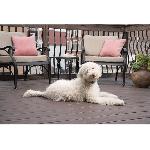 Anti-aboiement PetSafe - Collier anti aboiement rechargeable Lite. Etanche. Reduit les aboiements chez les chiens timides + de 3.6 Kg