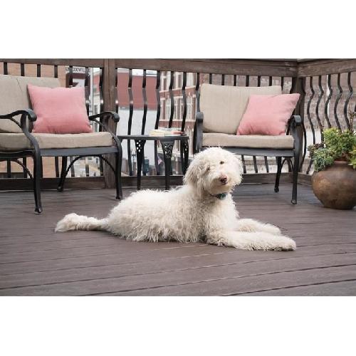 Anti-aboiement PetSafe - Collier anti aboiement rechargeable Lite. Etanche. Reduit les aboiements chez les chiens timides + de 3.6 Kg