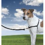 Harnais Animal PetSafe - Harnais Easy Walk avec boucle Anti-Traction et laisse de 1.8 m. Confortable. 4 points de Reglage. Resistant - Noir - S