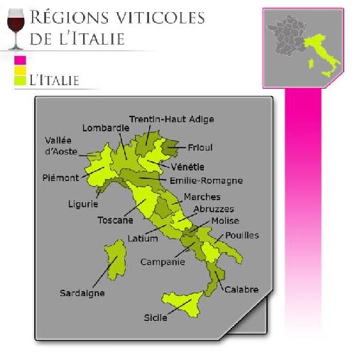 Vin Rouge Piccini Chianti - Vin rouge d'Italie