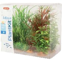 plante-d-aquarium-vivarium-terrarium-decoration-vegetale-substrat-racine-bois plante-d-aquarium-vivarium-terrarium-decoration-vegetale-substrat-racine-bois