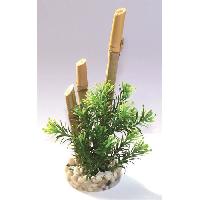 plante-d-aquarium-vivarium-terrarium-decoration-vegetale-substrat-racine-bois