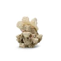 plante-d-aquarium-vivarium-terrarium-decoration-vegetale-substrat-racine-bois