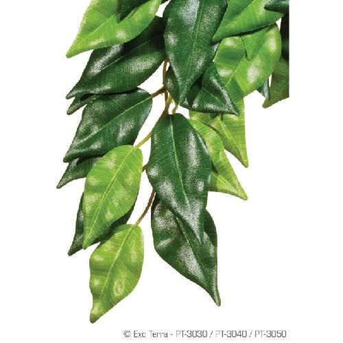 Plante Ficus 25x40cm - Exo Terra
