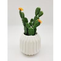 plante-poussee plante-poussee