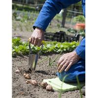 plantoir