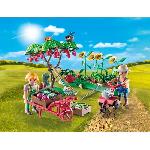 Univers Miniature - Habitation Miniature - Garage Miniature PLAYMOBIL 71380 Starter Pack Jardin potager. Country La vie a la ferme. Avec 2 personnages et accessoires. Des 4 ans