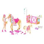 Poupee Poupée Mannequin - Barbie - HGB58 - Coffret Toilettage des Chevaux Barbie avec 1 poupée