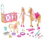 Poupee Poupée Mannequin - Barbie - HGB58 - Coffret Toilettage des Chevaux Barbie avec 1 poupée
