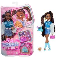 Poupee - Peluche BARBIE équipe de Reve « Brooklyn »-Poupée et 8 accessoires - Barbie - HYC22