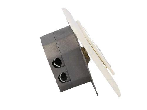 Cable - Connectique Pour Peripherique Prise murale angulaire 40o RJ45 femelle X2 Cat.6 - Blanc ambiant