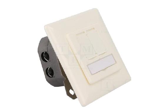 Cable - Connectique Pour Peripherique Prise murale angulaire 40o RJ45 femelle X2 Cat.6 - Blanc ambiant