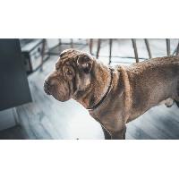 produit-de-soin-hygiene