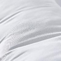 protection-oreiller-sous-taie