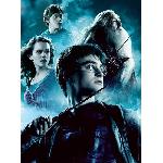 Puzzle Puzzle 2x500 pieces - Harry Potter et le Prince de Sang Melé - Ravensburger
