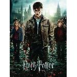 Puzzle Puzzle 300 p XXL - Harry Potter et les Reliques de la Mort II