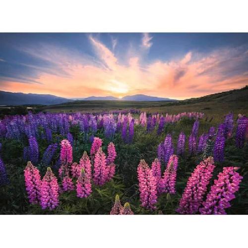 Puzzle Puzzle 500 pieces Les lupins (Nature edition) - Ravensburger - Paysage et nature - Adultes et enfants des 12 ans