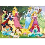 Puzzle Puzzle Disney Princesses 500 pieces - Marque Educa - Theme Dessins animés et BD