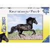 Puzzle Puzzle 200 pieces XXL Etalon noir - Ravensburger - Paysage et nature - Des 8 ans