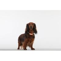 repulsif-attractif repulsif-attractif