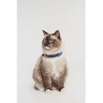 Repulsif - Attractif Repulsif ultrason chat - TICKLESS MINI CAT - Protection tiques et puces - Greek Blue