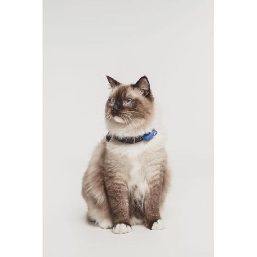 Repulsif - Attractif Repulsif ultrason chat - TICKLESS MINI CAT - Protection tiques et puces - Greek Blue