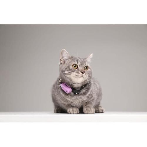 Repulsif - Attractif Repulsif ultrason chat - TICKLESS MINI CAT - Protection tiques et puces - Organ Purple