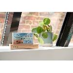 Radio Reveil Reveil station meteo - THOMSON - Bois clair - Affichage temperature. Hygrometrie. Double alarme. USB-C. Sonde sans fil