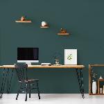 Peinture - Vernis - Traitement (lasure - Effets Decoratifs) RIPOLIN Peinture Couleur Velours pour Murs. Boiseries Radiateurs - Vert Armerie