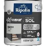 Peinture - Vernis - Traitement (lasure - Effets Decoratifs) RIPOLIN PROTECTION EXTREME SOL GRAVIER RAL 7035 SATIN 2.5 L