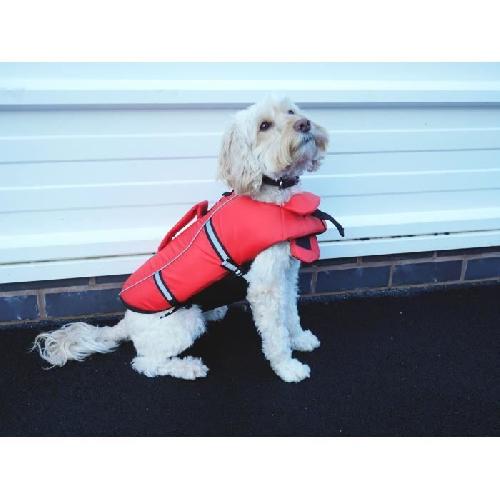 ROSEWOOD Gilet de sauvetage reflechissant Swim-Easy - Moyen - Pour chien