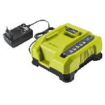 Chargeur Pour Machine Outil RYOBI - Chargeur 36V MAXPOWER rapide 6.0 A - RY36C60A