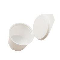 sac-vomitoire sac-vomitoire