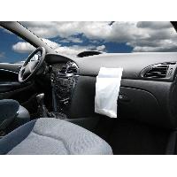 Sacs et Bagagerie Auto Sachets poubelles adhesives jetable 10 pieces Sacs et Bagagerie Auto Sachets poubelles adhesives jetable 10 pieces