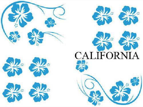 Stickers Monocouleurs Set Adhesifs -ELEMENT CALIFORNIA- Bleu - Car Deco