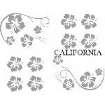 Set Adhesifs -ELEMENT CALIFORNIA- Gris - Car Deco