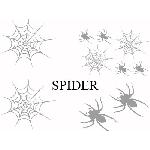 Set Adhesifs -ELEMENT SPIDER- Gris - PROMO ADN - Car Deco