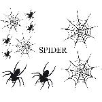 Set Adhesifs -ELEMENT SPIDER- Noir - PROMO ADN - Car Deco